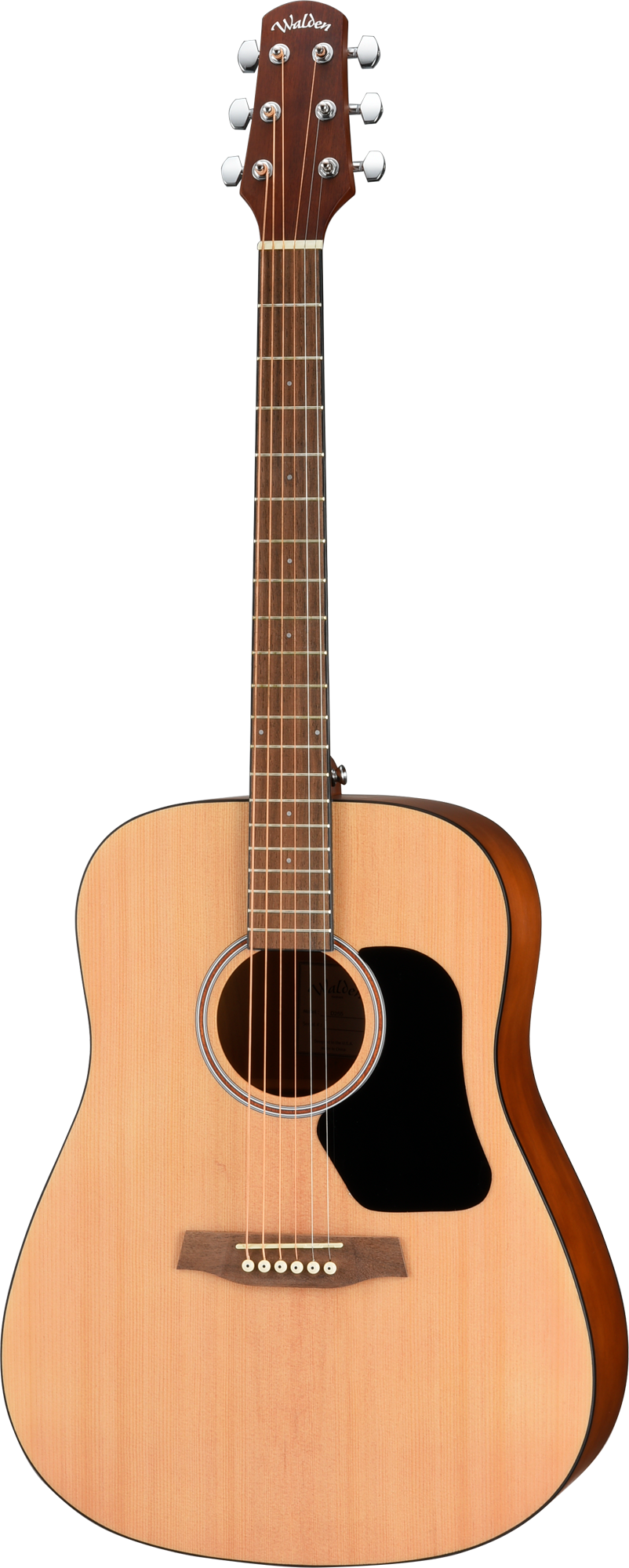 Walden D255 Hawthorne Dreadnought Acoustic - Satin