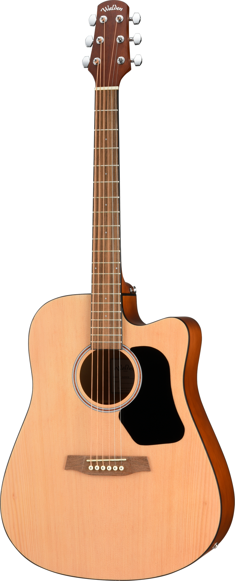 Walden D255CE Hawthorne Dreadnought Acoustic Cutaway-Electric - Satin