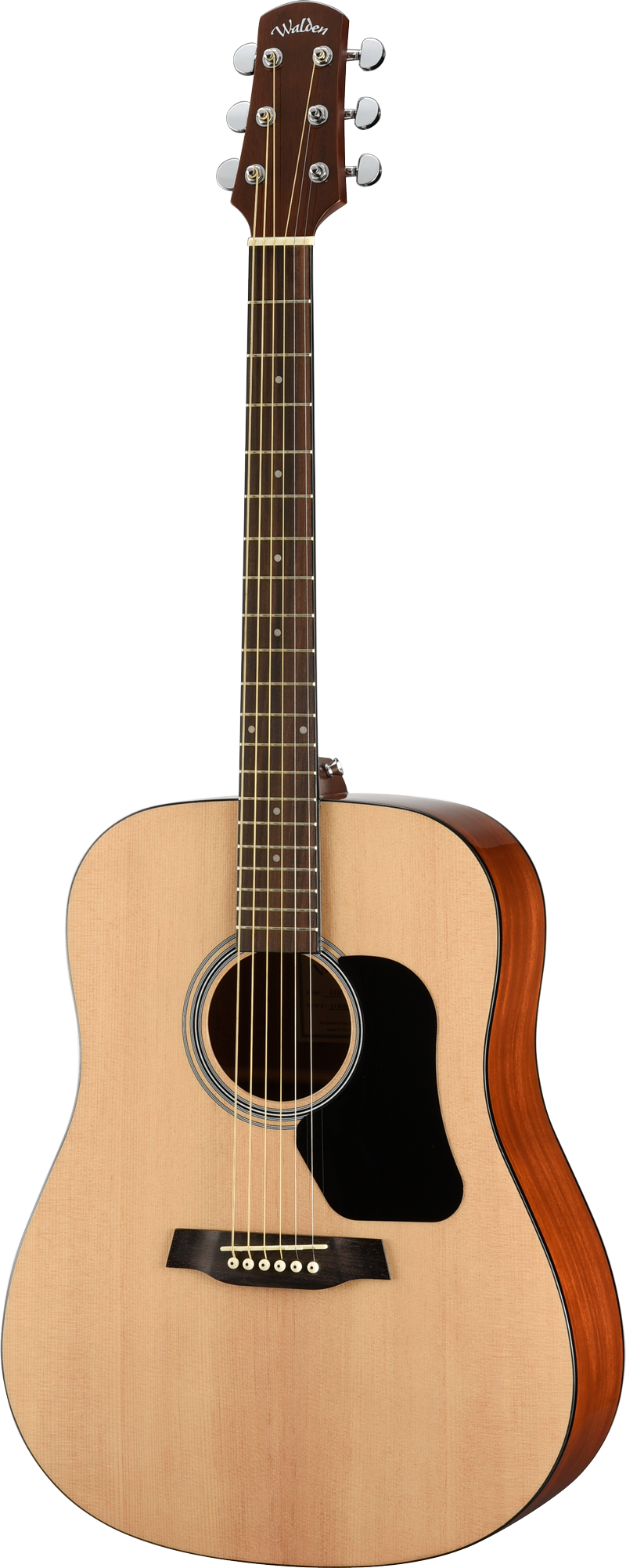 Walden D350W Standard Dreadnought Acoustic - Gloss