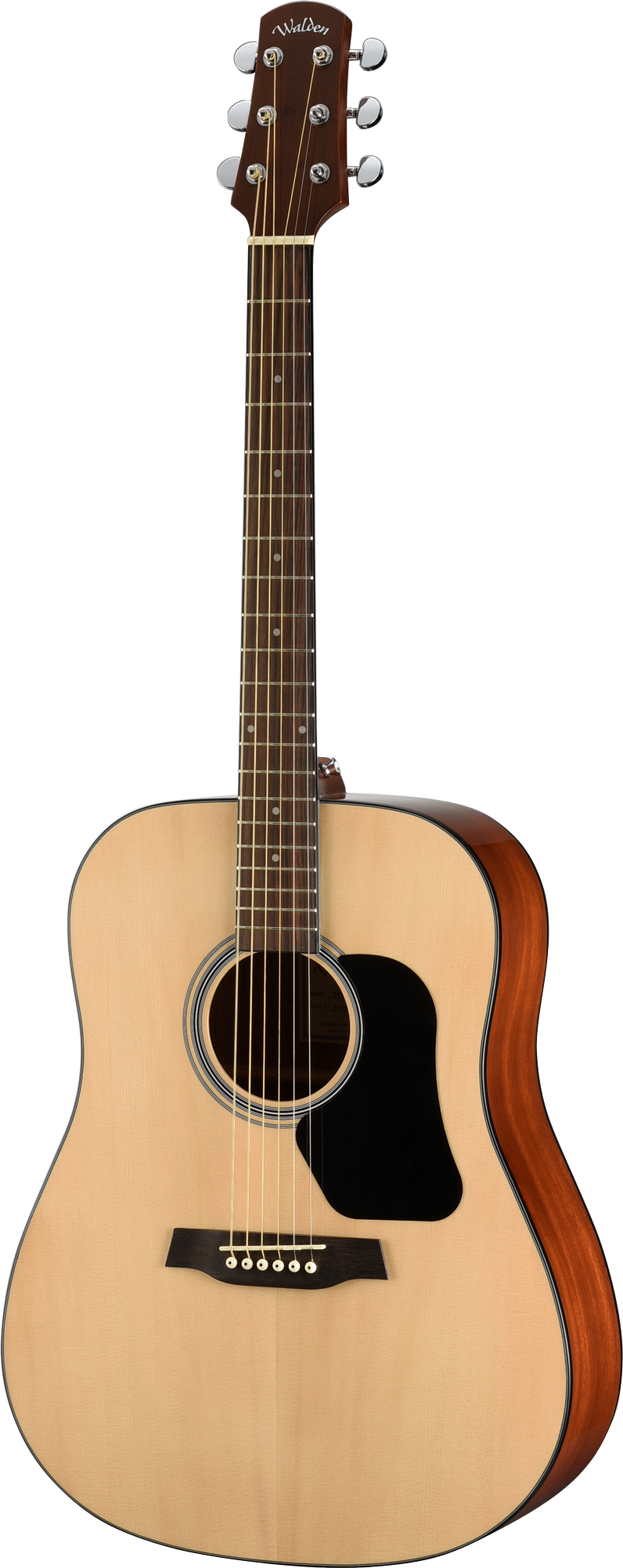 Walden D450W Standard Solid Spruce Top Dreadnought Acoustic - Gloss