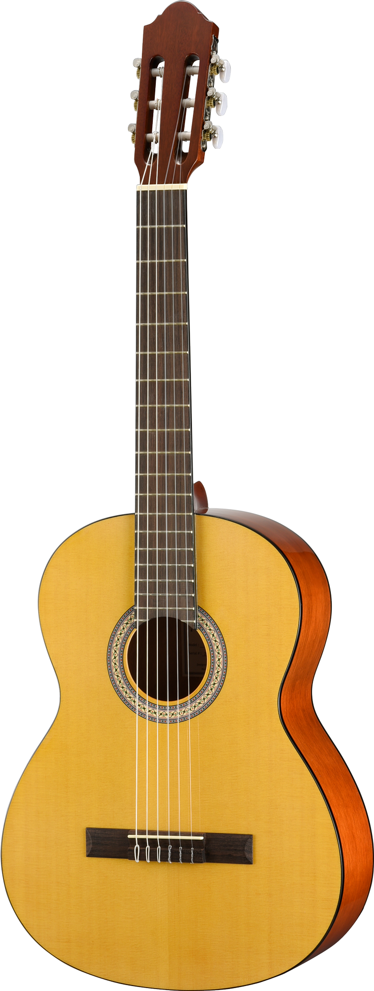 Walden N350W Standard Nylon Classical - Gloss