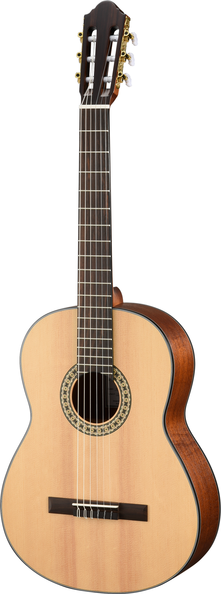 Walden N550EW Natura Solid Spruce Top Nylon Classical-Electric - Open Pore Satin
