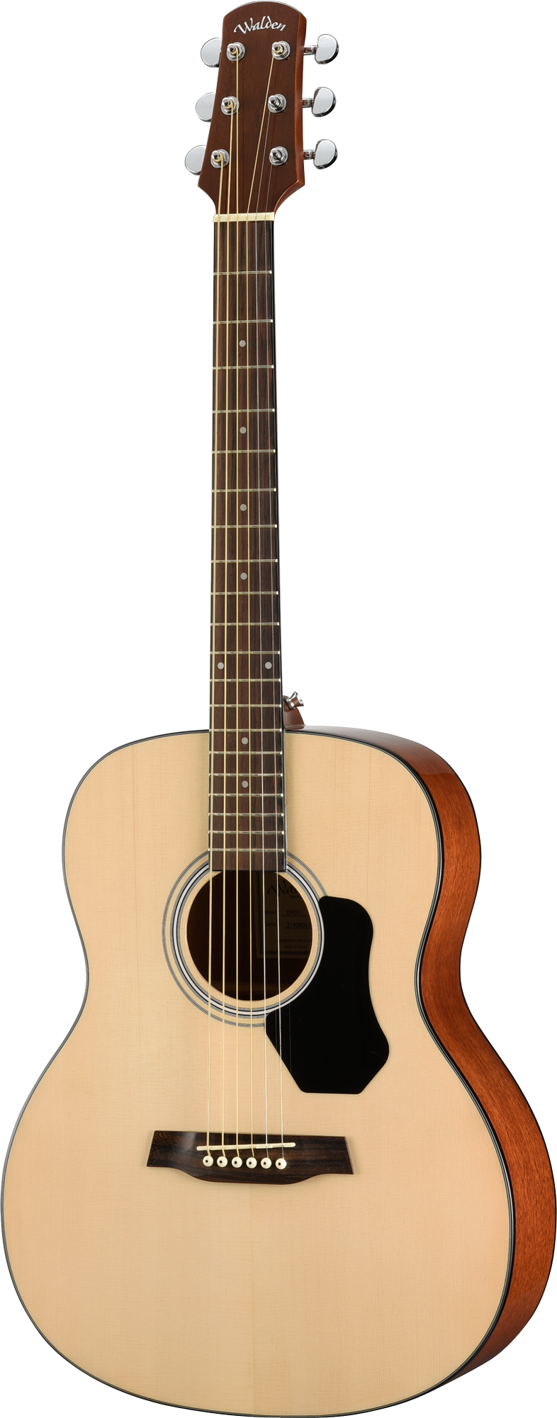 Walden O450W Standard Solid Spruce Top Orchestra Acoustic - Gloss