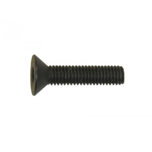 Rickenbacker Part 05304 - Screw Socket Hex 10-32 x 7/8 FH HX