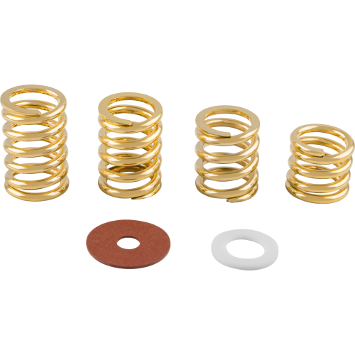 Bigsby Spring and Washer Pack, Gold