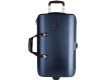 Protec Single / Double / Triple Horn ZIP Case (BLT301T)