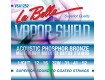 La Bella Acoustic Guitar Strings - Vapor Shield Series